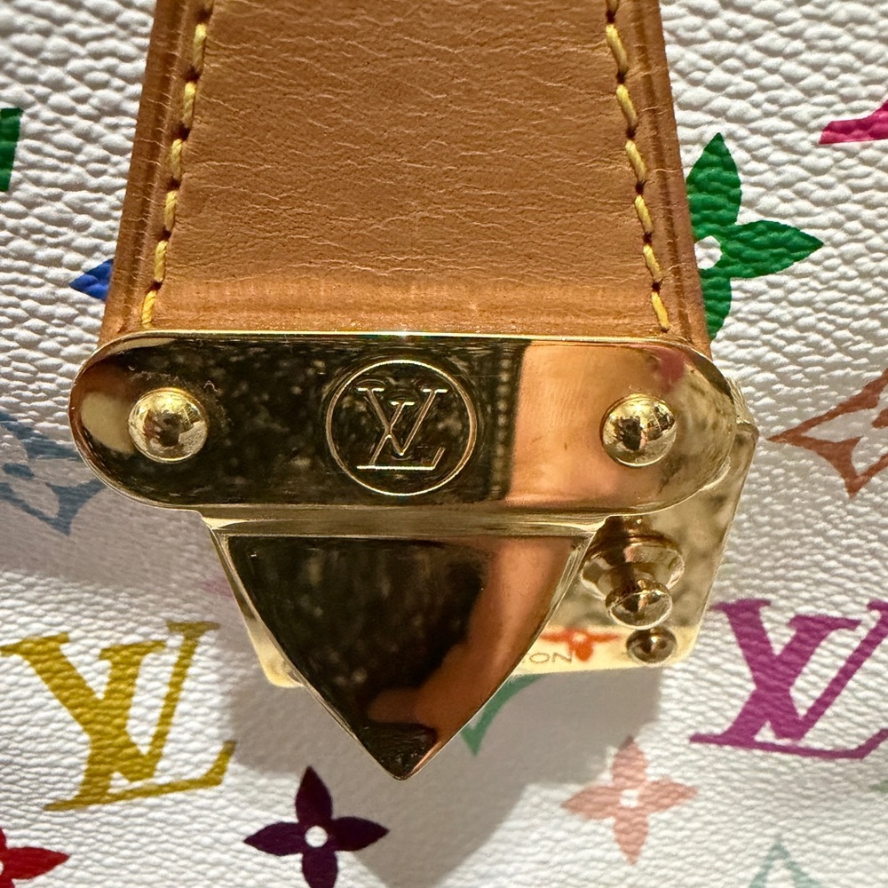 Louis Vuitton Multicolor Speedy 30 - Picture 7 of 17